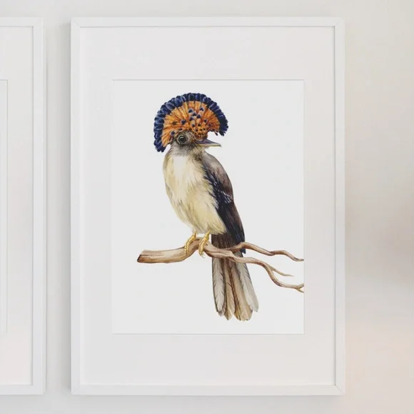 Flycatcher Bird Wall Art Watercolor Illustration Print Poster Card Unframed - Picture 4 of 7